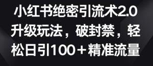 小红书绝密引流术2.0升级玩法,破封禁,轻松日引100+精准流量 - 严选资源大全 - 严选资源大全
