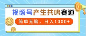 (9133期)2024年视频号,产生共鸣赛道,简单无脑,一分钟一条视频,日入1000+ - 严选资源大全 - 严选资源大全