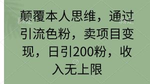 (9523期)颠覆本人思维,通过引流色粉,卖项目变现,日引200粉,收入无上限 - 严选资源大全 - 严选资源大全