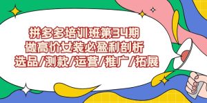 拼多多培训班第34期:做高价女装必盈利剖析 选品/测款/运营/推广/拓展 - 严选资源大全 - 严选资源大全