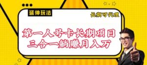 流量卡长期项目,低门槛 人人都可以做,可以撬动高收益 - 严选资源大全 - 严选资源大全
