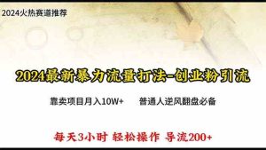 (10151期)2024年最新暴力流量打法,每日导入300+,靠卖项目月入10W+ - 严选资源大全 - 严选资源大全