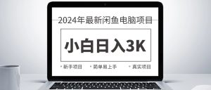 (10845期)2024最新闲鱼卖电脑项目,新手小白日入3K+,最真实的项目教学 - 严选资源大全 - 严选资源大全