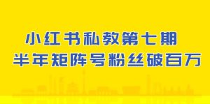 小红书私教第七期,小红书90天涨粉18w,1周涨粉破万 半年矩阵号粉丝破百万 - 严选资源大全 - 严选资源大全