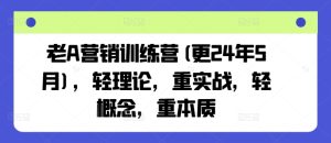 老A营销训练营(更24年5月),轻理论,重实战,轻概念,重本质 - 严选资源大全 - 严选资源大全