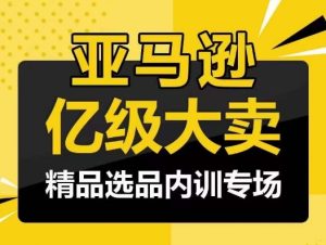 亚马逊亿级大卖-精品选品内训专场,亿级卖家分享选品成功之道 - 严选资源大全 - 严选资源大全