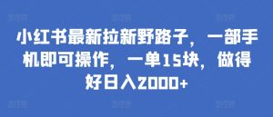 小红书最新拉新野路子,一部手机即可操作,一单15块,做得好日入2000+ - 严选资源大全 - 严选资源大全