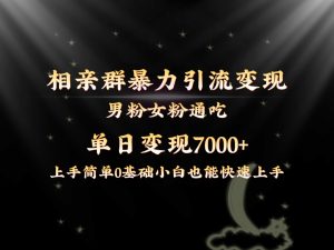 全网首发相亲群暴力引流男粉女粉通吃变现玩法，单日变现7000+保姆教学1.0 - 严选资源大全 - 严选资源大全