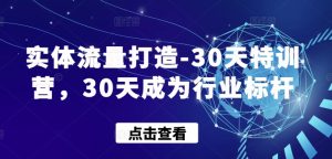 实体流量打造-30天特训营,30天成为行业标杆 - 严选资源大全 - 严选资源大全