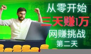 从零开始：网赚课程教你逆袭人生 - 严选资源大全 - 严选资源大全