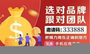 初学者的赚钱指南(自学 赚钱) - 严选资源大全 - 严选资源大全