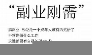 副业项目的最佳入门指南(副业项目有哪些路子) - 严选资源大全 - 严选资源大全