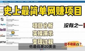 如何利用网赚资源提升收入 - 严选资源大全 - 严选资源大全