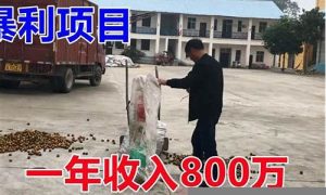 成功投资暴利项目的实践经验(十个投资项目成功案例) - 严选资源大全 - 严选资源大全