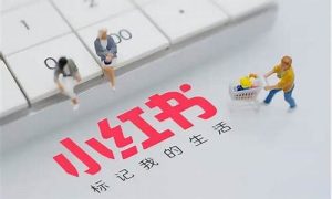 打造热门小红书笔记的有效方法(小红书笔记怎么挣钱) - 严选资源大全 - 严选资源大全