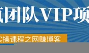 网赚VIP资源助你实现高效赚钱 - 严选资源大全 - 严选资源大全