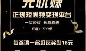 网赚VIP资源的终极指南 - 严选资源大全 - 严选资源大全