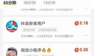 赚取额外收入的手机应用推荐(有什么可以额外收入的) - 严选资源大全 - 严选资源大全