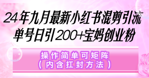 (12530期)小红书混剪引流,单号日引200+宝妈创业粉,操作简单可矩阵(内含扛封… - 严选资源大全 - 严选资源大全