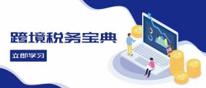 跨境税务宝典教程：跨境电商全球税务处理策略 - 严选资源大全 - 严选资源大全