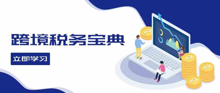 跨境税务宝典教程：跨境电商全球税务处理策略 - 严选资源大全 - 严选资源大全