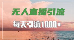 抖音快手视频号全平台通用,无人直播引流法,超暴力引流1000+高质量精准创业粉【揭秘】 - 严选资源大全 - 严选资源大全