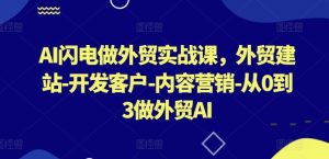 AI闪电做外贸实战课,外贸建站-开发客户-内容营销-从0到3做外贸AI(更新) - 严选资源大全 - 严选资源大全