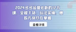 2024多多运营必听的12节课，全程干货，玩法实操，爆款方案尽在掌握 - 严选资源大全 - 严选资源大全