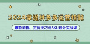 2024掌握拼多多运营精髓:爆款流程、定价技巧与SKU设计实战课 - 严选资源大全 - 严选资源大全