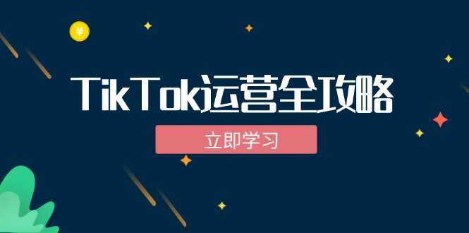 TikTok实战运营全攻略：从下载软件到变现，抖音海外版实操教程 - 严选资源大全 - 严选资源大全
