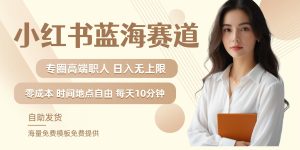 小红书蓝海赛道,圈中高端职场人,月入无上限,可矩阵,内含私域实操教程! - 严选资源大全 - 严选资源大全