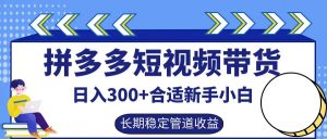 拼多多短视频带货日入300+,实操账户展示看就能学会 - 严选资源大全 - 严选资源大全