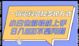 一份资料多种变现方式,小白也能轻松上手,日入800不是问题 - 严选资源大全 - 严选资源大全