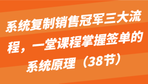 系统复制销售冠军三大流程,一堂课程掌握签单的系统原理(38节) - 严选资源大全 - 严选资源大全