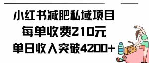 (9466期)小红书减肥私域项目每单收费210元单日成交20单,最高日入4200+ - 严选资源大全 - 严选资源大全