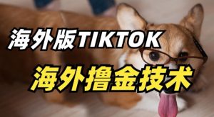 抖音海外版tiktok撸金技术,这个风口行业,赚钱真的不难 - 严选资源大全 - 严选资源大全