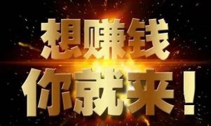 一学就会的网赚项目，轻松盈利 - 严选资源大全 - 严选资源大全