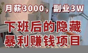 从零开始：网赚副业项目你不得不试(网上副业赚钱) - 严选资源大全 - 严选资源大全