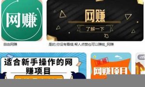 低成本高收益的网赚项目推荐(低成本赚钱) - 严选资源大全 - 严选资源大全