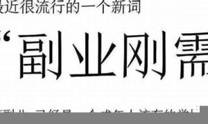 全职网赚创业项目，改变你的人生 - 严选资源大全 - 严选资源大全