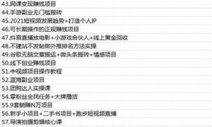 创业必看：网赚兼职的成功案例(好的网络兼职创业项目) - 严选资源大全 - 严选资源大全