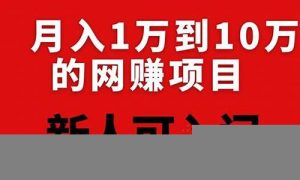 创业新手的网赚项目清单解析 - 严选资源大全 - 严选资源大全