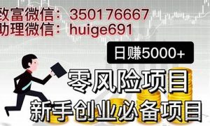 创业者必看：最新网赚项目分析 - 严选资源大全 - 严选资源大全