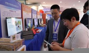 创业致富：小项目带来的大回报(小项目赚大钱) - 严选资源大全 - 严选资源大全