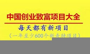 创业项目大全：从零开始实现梦想(创业起步项目) - 严选资源大全 - 严选资源大全