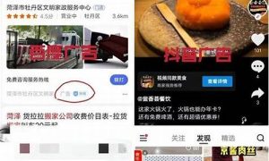 创业项目推荐：从零到一的成功之路(创业从零开始案例) - 严选资源大全 - 严选资源大全