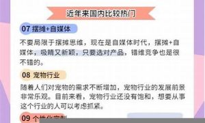 创业项目推荐：轻松实现副业盈利 - 严选资源大全 - 严选资源大全