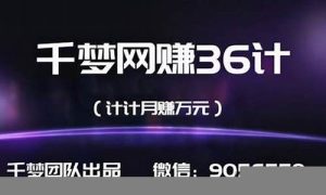 实战分享：成功网赚创业的关键 - 严选资源大全 - 严选资源大全