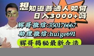 实用网赚项目，快速提升收入 - 严选资源大全 - 严选资源大全
