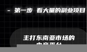 打造副业收入的最佳网赚选择(副业赚钱的10个渠道) - 严选资源大全 - 严选资源大全
